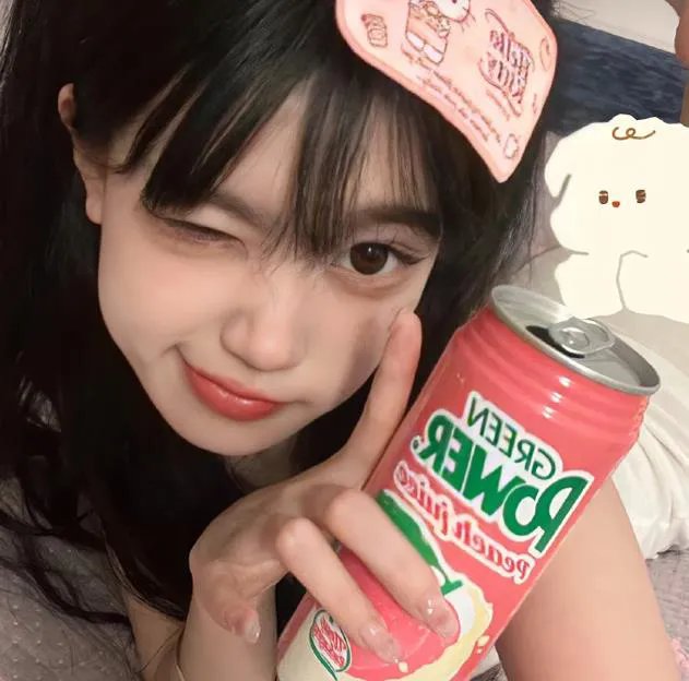 布里斯比熊