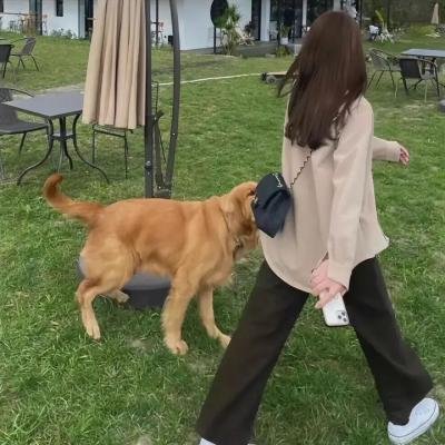 鬼马飞人